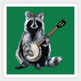 Banjo Raccoon Magnet